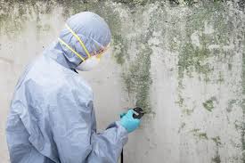 Best Commercial Mold Inspection  in Midland City, AL